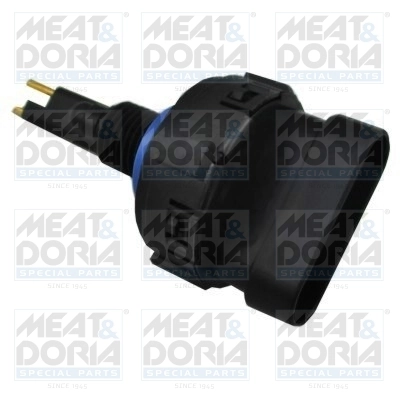 Sensor, fuel temperature